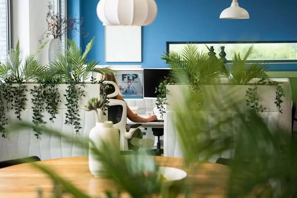 FLP Tax Consulting
